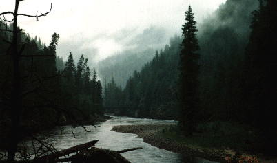 Selway
River