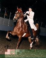Dances With Hooves