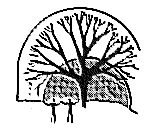 hlalogo.gif (3705 bytes)