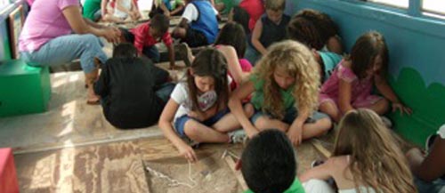 Cow workshop